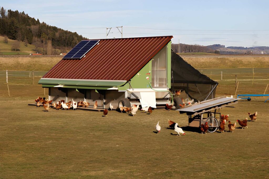 Solar System for Poultry Farm Philippines: Cost, Profit & Setup Guide (2026)